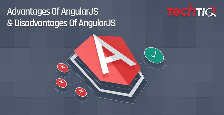 Angularjs developer