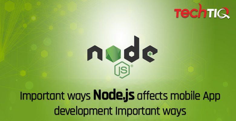 node js developer and nodejs development